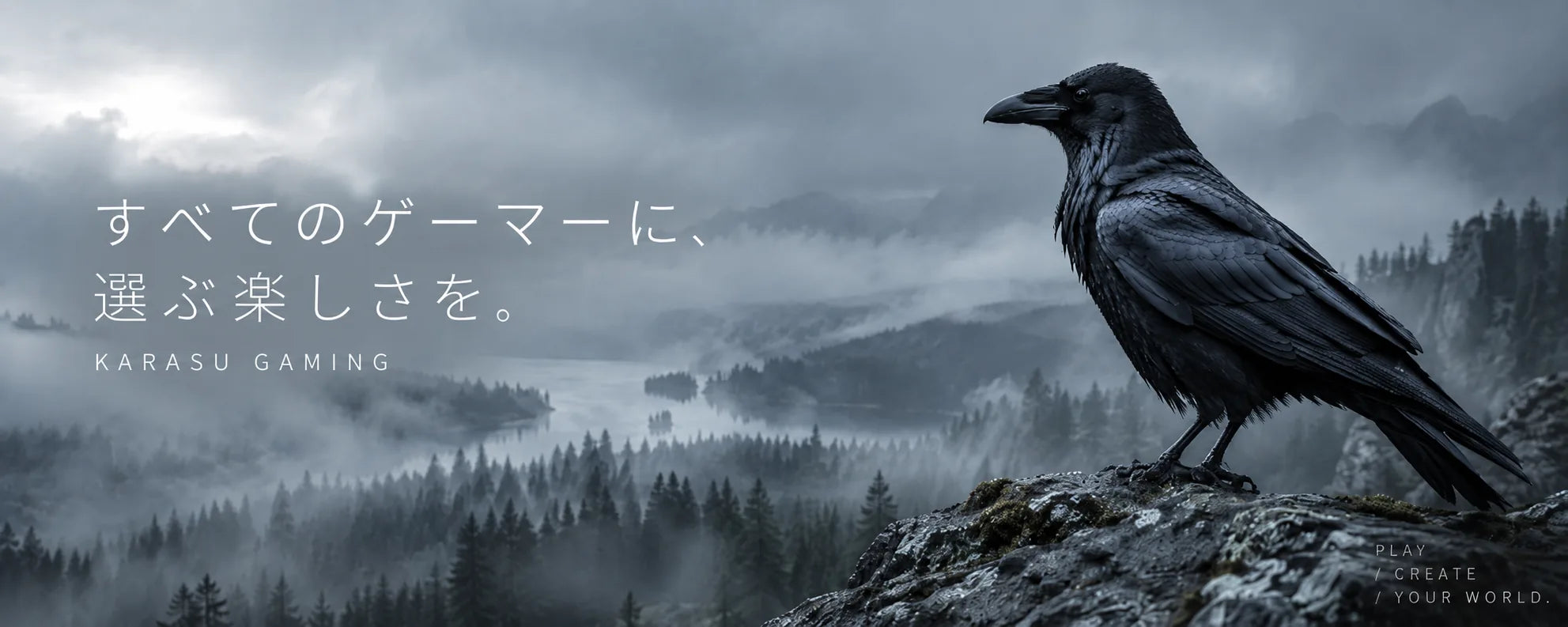 すべてのゲーマーに、選ぶ楽しさを。KARASU GAMING